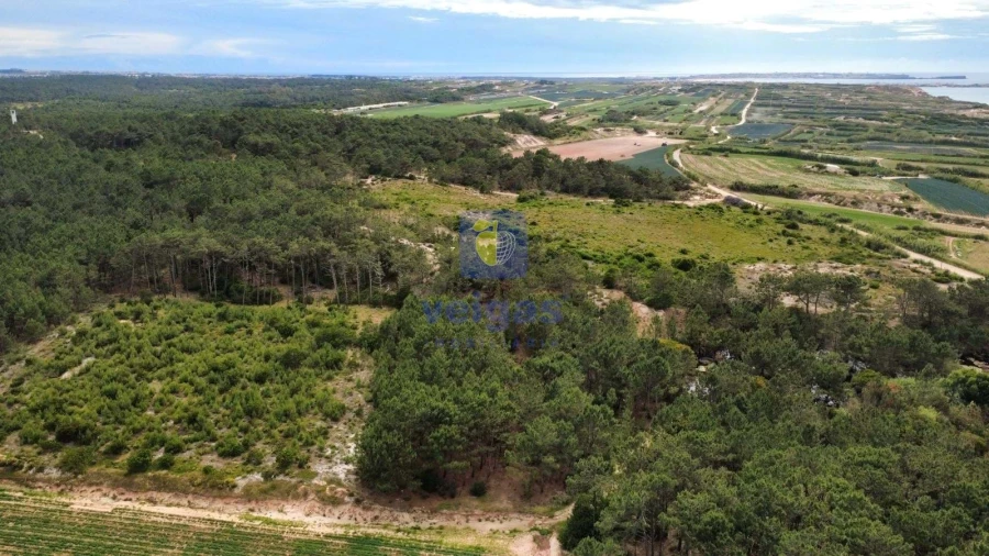 Terreno Agricola ou Rústico para Venda em Ferrel Foto 8
