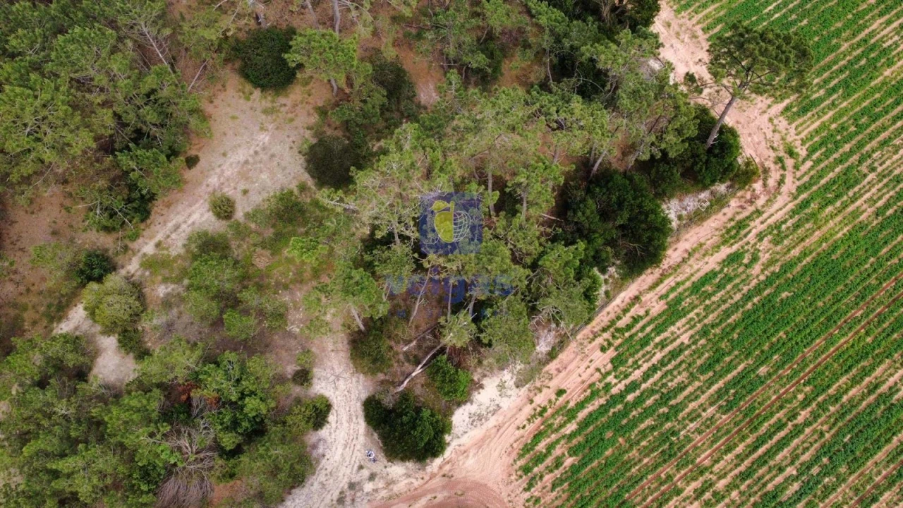 Terreno Agricola ou Rústico para Venda em Ferrel Foto 7