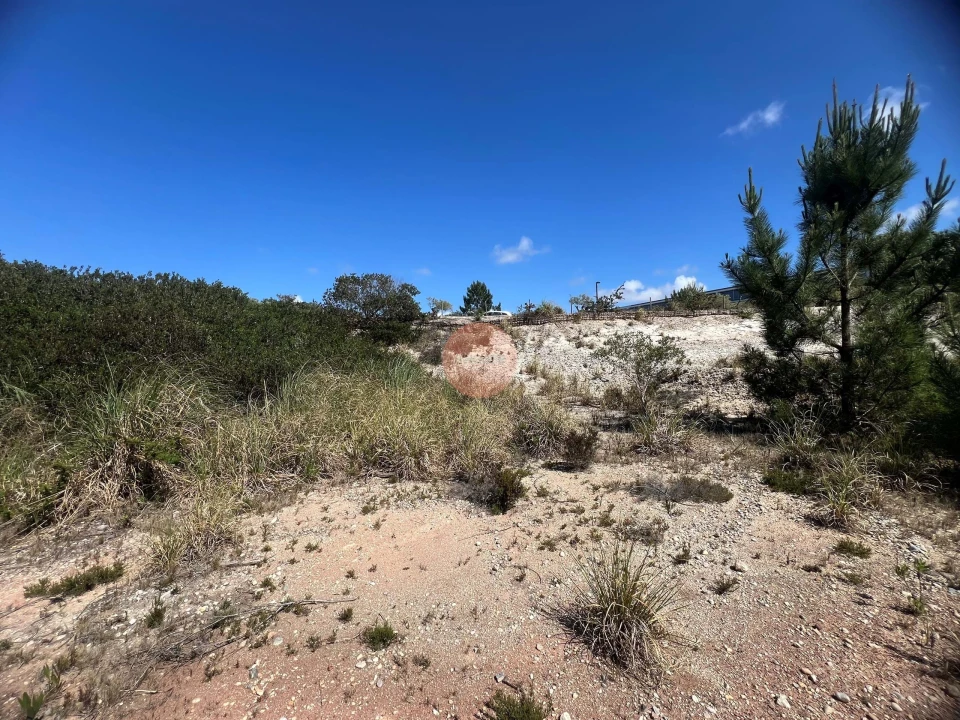 Terreno para Venda em Vau Foto 23