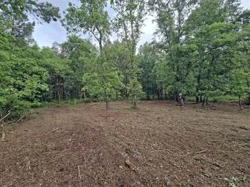 Terreno Comércio / Armazém para Venda em Quintela de Azurara