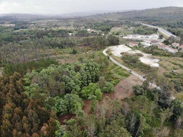 Terreno Comércio / Armazém para Venda em Quintela de Azurara