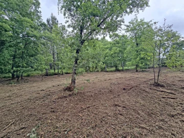 Terreno Comércio / Armazém para Venda em Quintela de Azurara