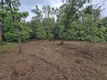 Terreno Comércio / Armazém para Venda em Quintela de Azurara