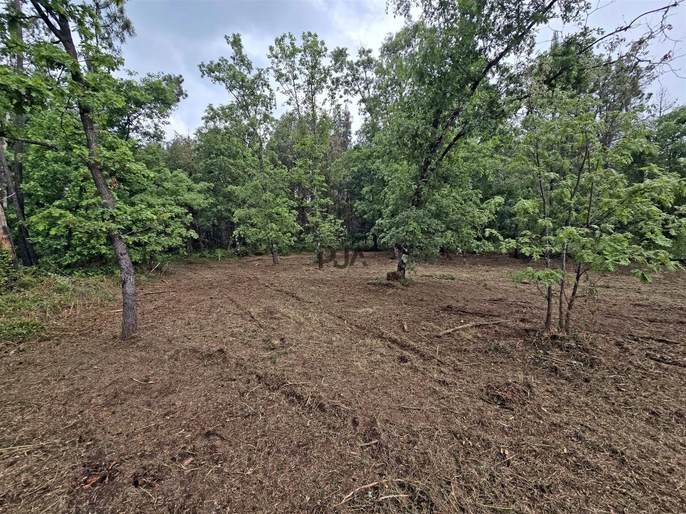 Terreno Comércio / Armazém para Venda em Quintela de Azurara Foto 3