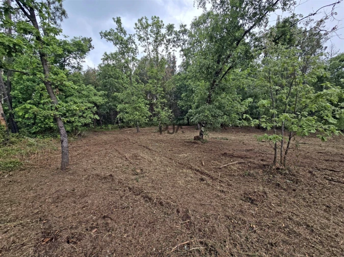 Terreno Comércio / Armazém para Venda em Quintela de Azurara Foto 3
