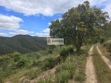 Moradia T2 para Venda em São Barnabe