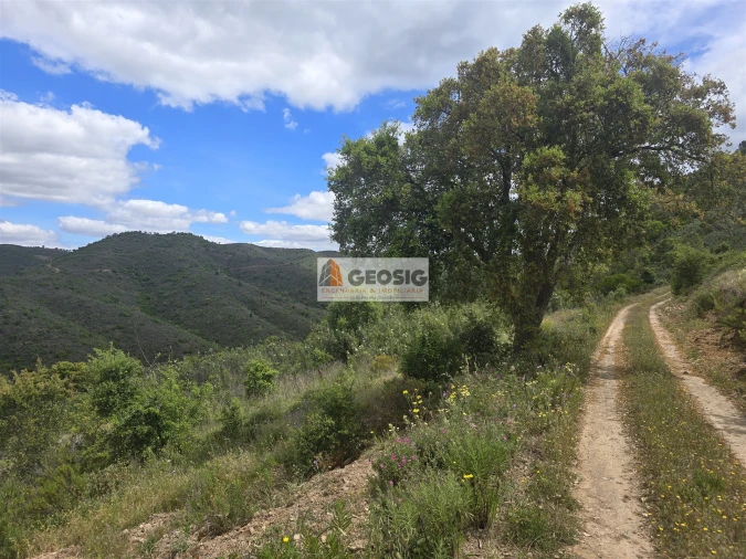 Moradia T2 para Venda em São Barnabe Foto 23
