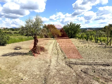 Moradia T3 para Venda em Tabua