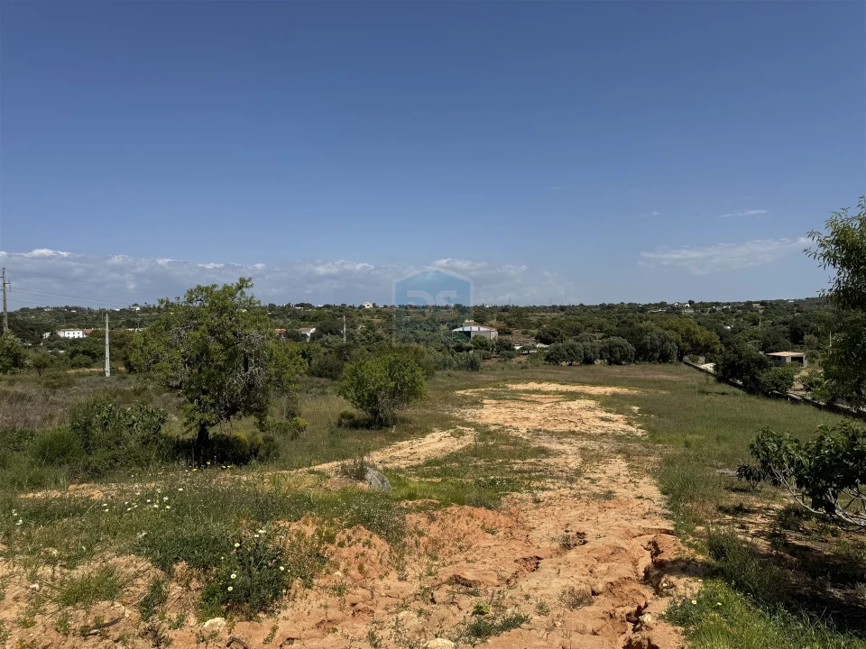 Terreno para Venda em Guia Foto 18