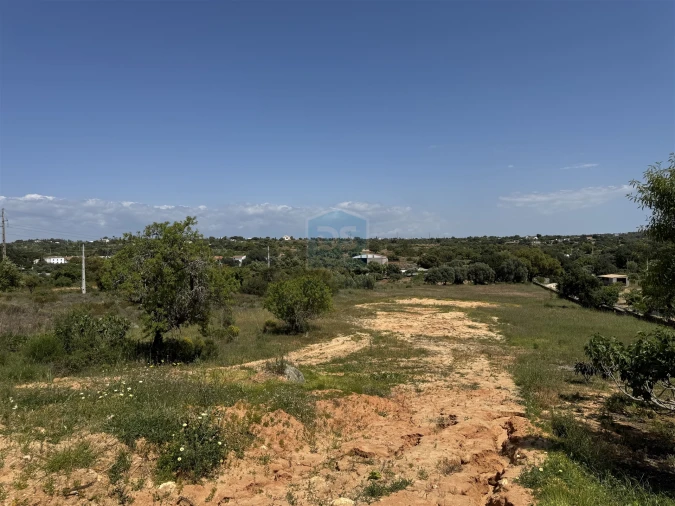 Terreno para Venda em Guia Foto 18