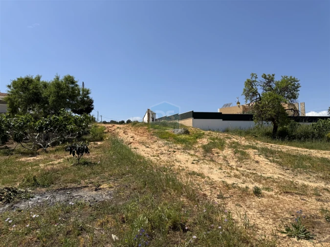 Terreno para Venda em Guia Foto 22