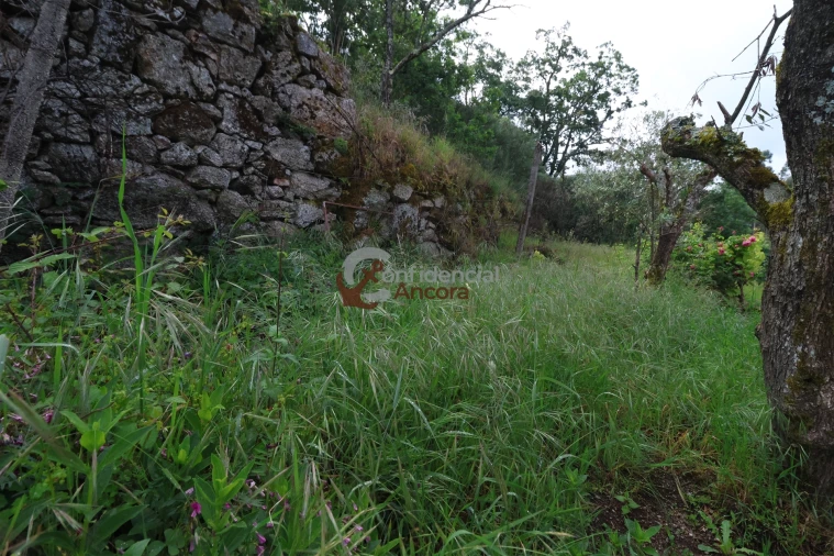 Moradia T2 para Venda em Aldeias e Mangualde da Serra Foto 9