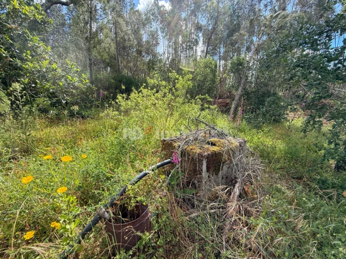 Moradia T5 para Venda em Areias e Pias Foto 32