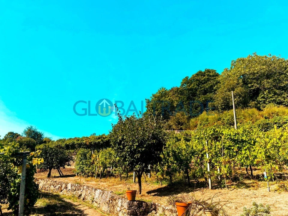 Quinta T1 para Venda em Valadares Foto 12