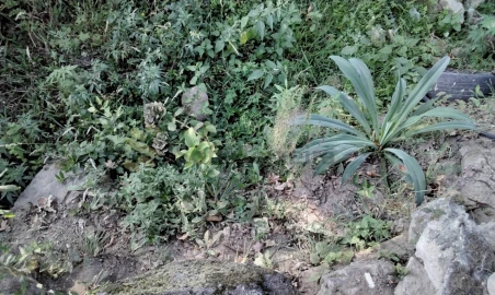 Moradia T3 para Venda em Vila Boa do Bispo
