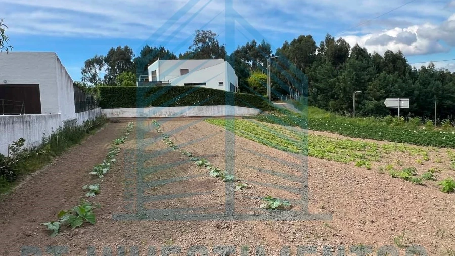 Terreno para Venda em Esgueira