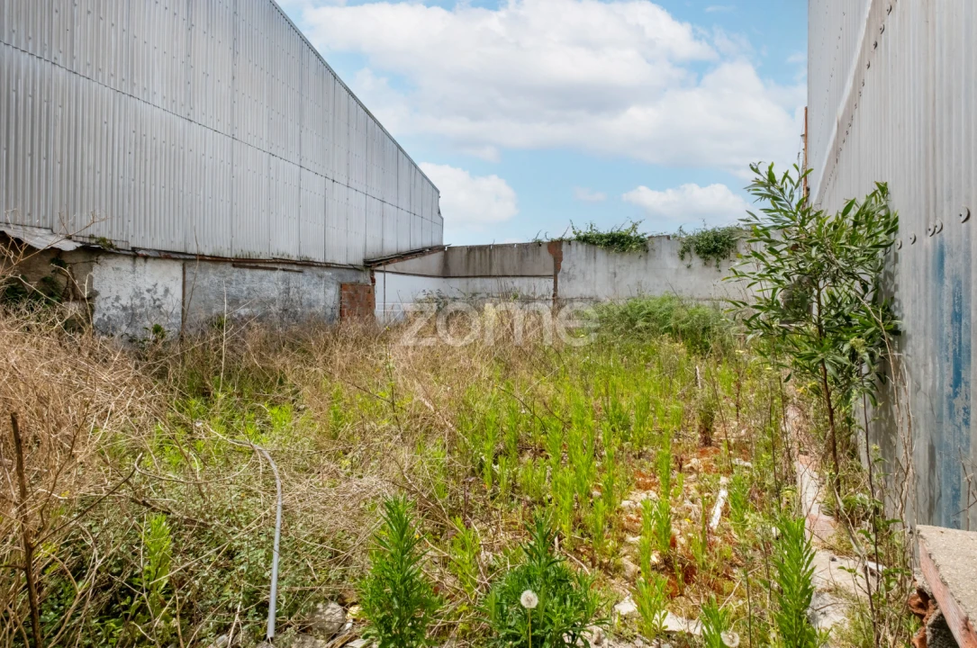 Terreno para Venda em Campanhã Foto 12