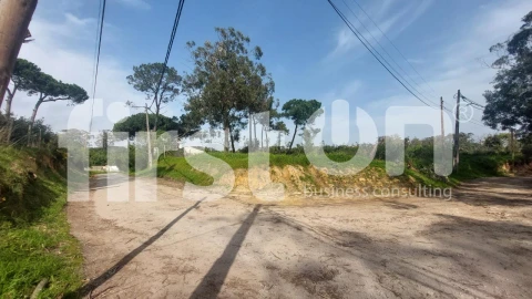 Terreno para Venda em Caparica e Trafaria