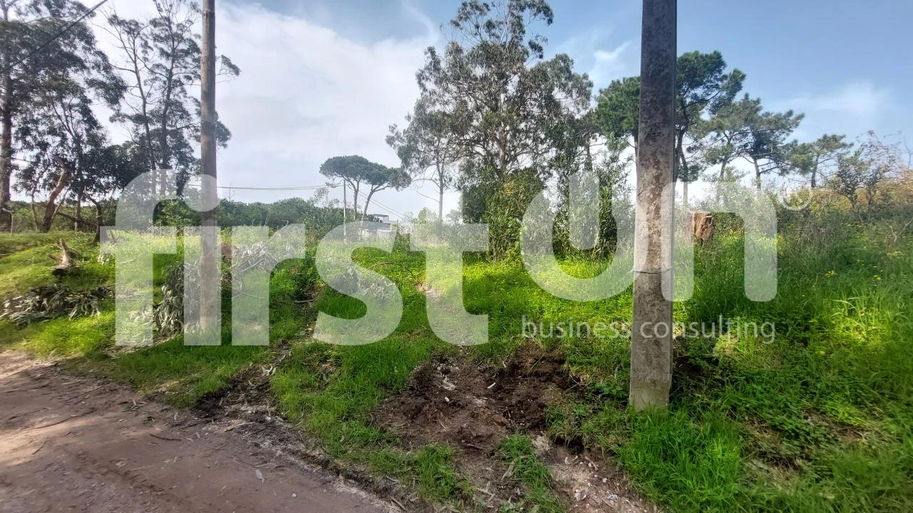 Terreno para Venda em Caparica e Trafaria Foto 7