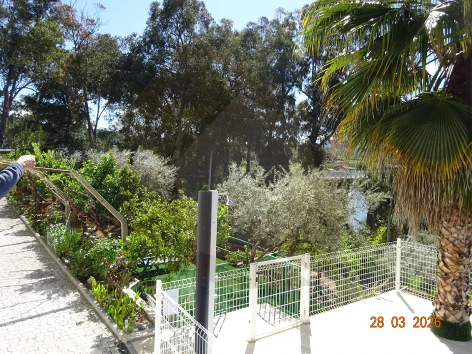Quinta T7 para Venda em Ligares Foto 4