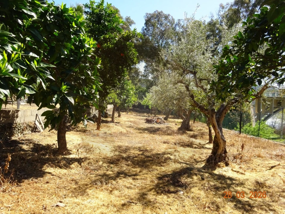 Quinta T7 para Venda em Ligares Foto 6