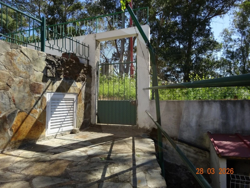Quinta T7 para Venda em Ligares Foto 9