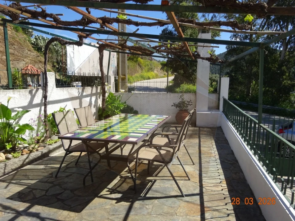 Quinta T7 para Venda em Ligares Foto 2