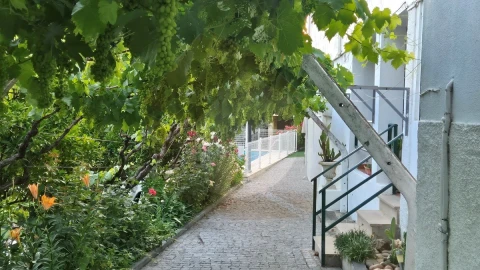 Quinta T7 para Venda em Ligares