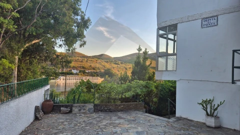 Quinta T7 para Venda em Ligares
