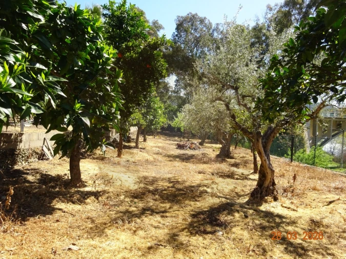 Quinta T7 para Venda em Ligares Foto 6