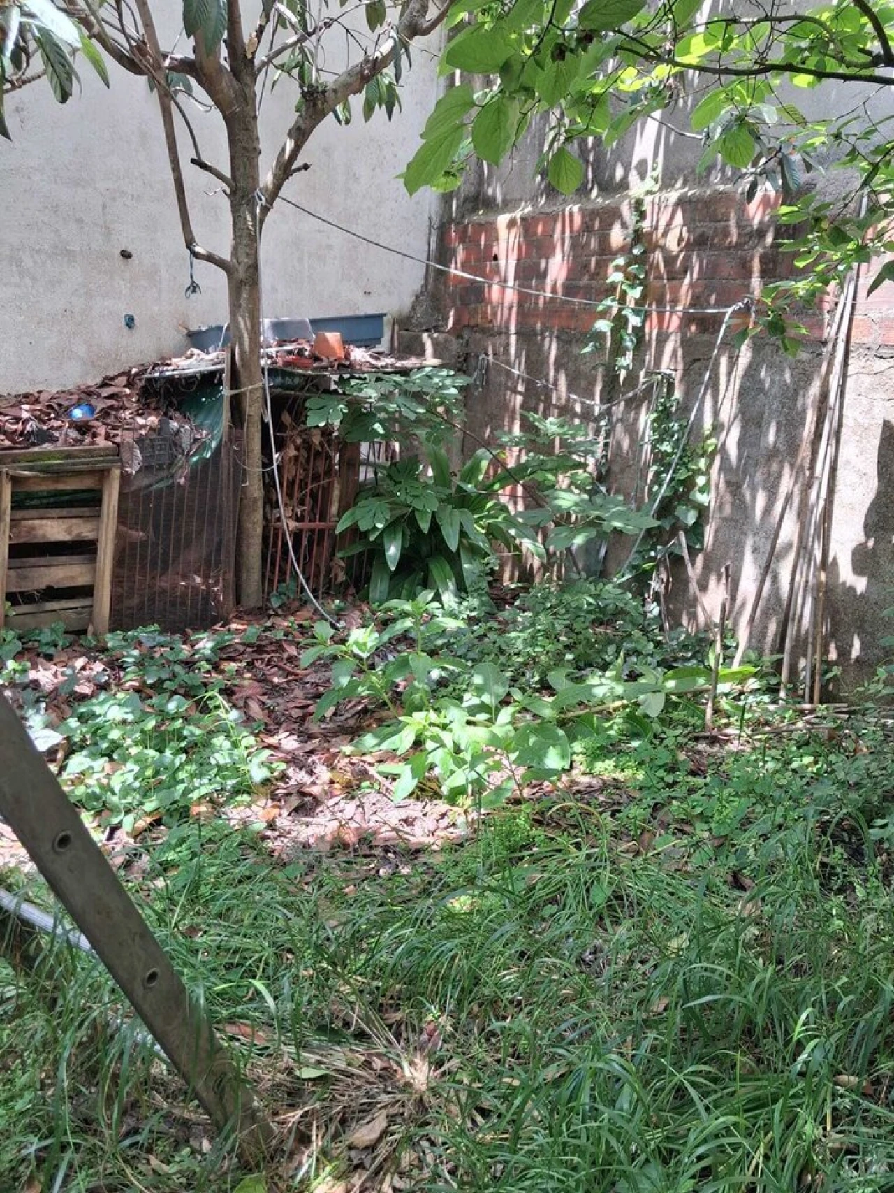 Moradia T2 para Venda em Torres Novas (São Pedro), Lapas e Ribeira Branca Foto 6