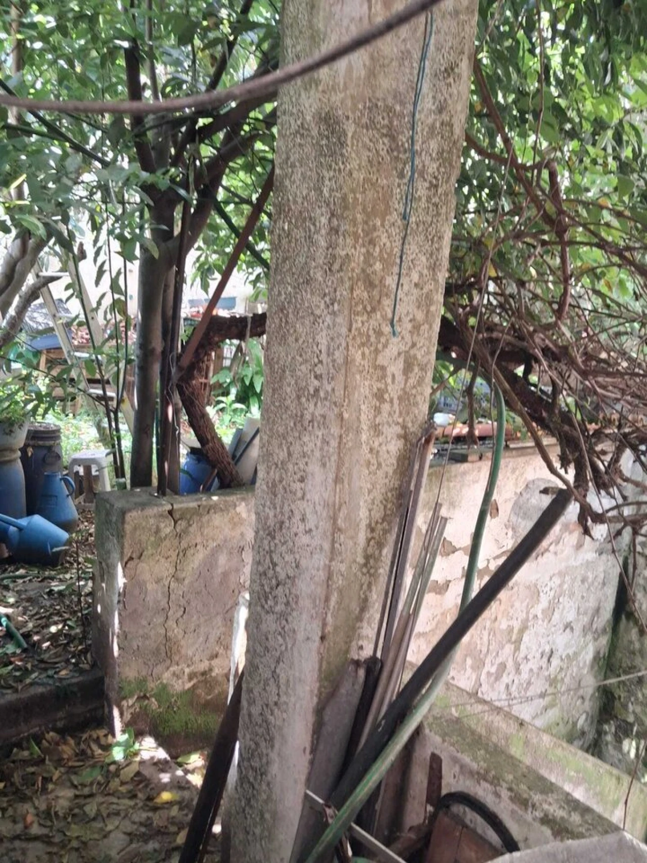 Moradia T2 para Venda em Torres Novas (São Pedro), Lapas e Ribeira Branca Foto 7