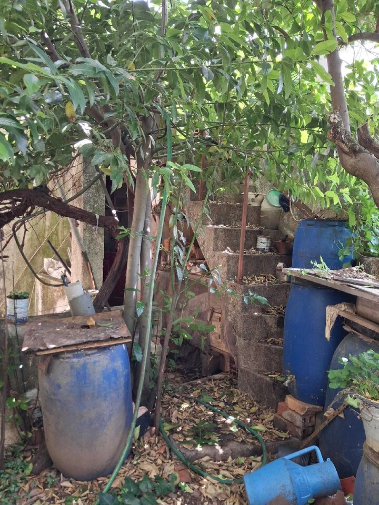 Moradia T2 para Venda em Torres Novas (São Pedro), Lapas e Ribeira Branca Foto 8