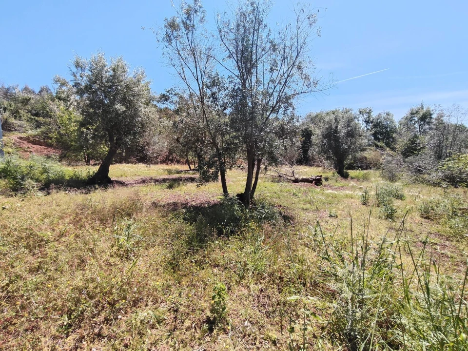 Moradia T2 para Venda em Pussos São Pedro Foto 32