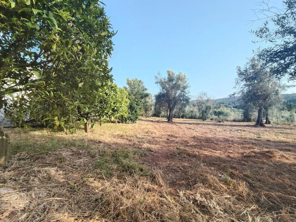 Moradia T2 para Venda em Pussos São Pedro Foto 34