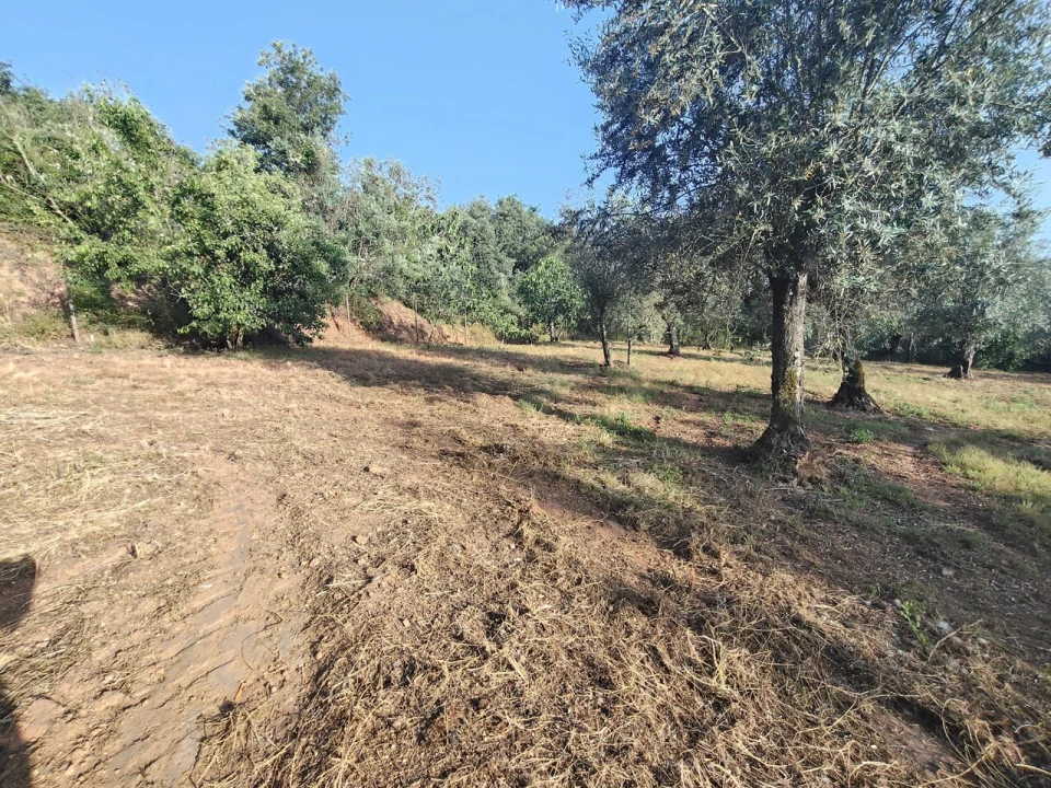 Moradia T2 para Venda em Pussos São Pedro Foto 36