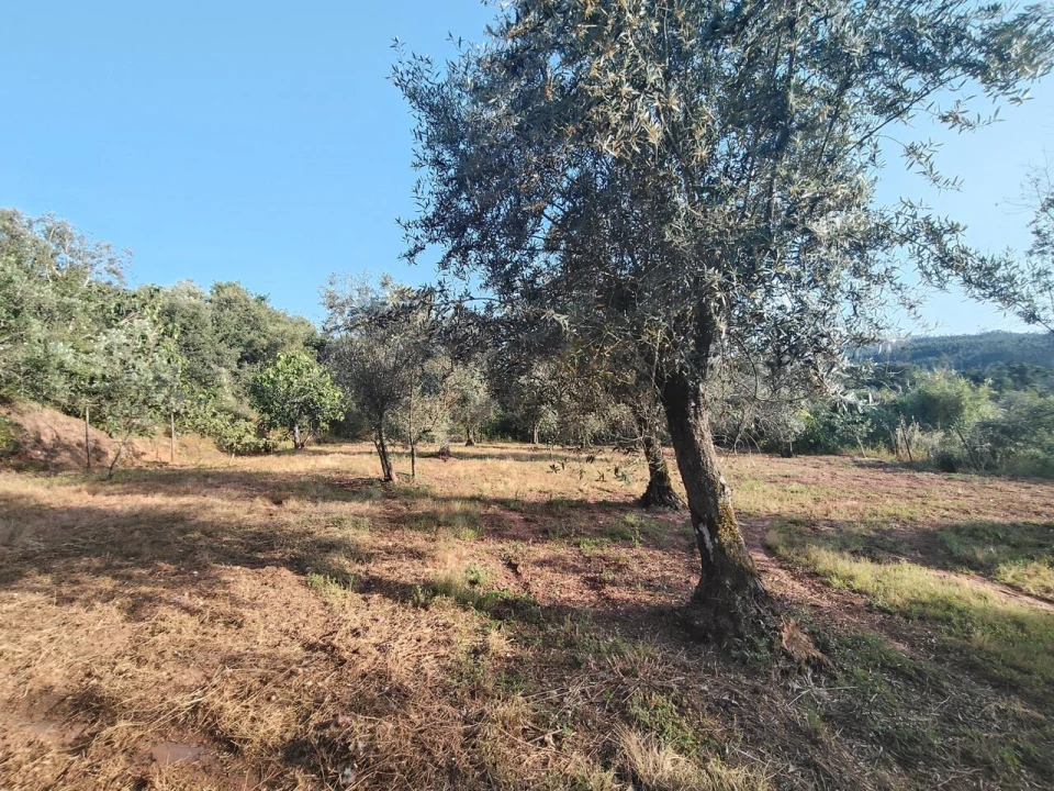 Moradia T2 para Venda em Pussos São Pedro Foto 38