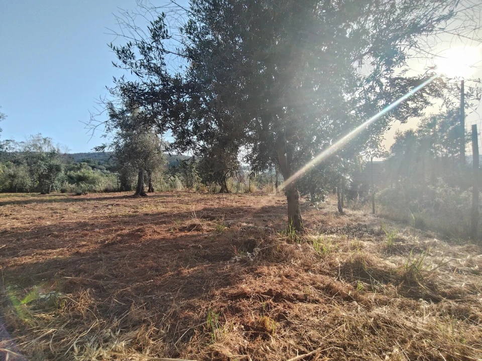 Moradia T2 para Venda em Pussos São Pedro Foto 39