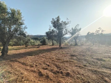 Moradia T2 para Venda em Pussos São Pedro