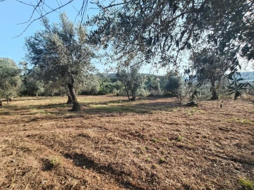 Moradia T2 para Venda em Pussos São Pedro