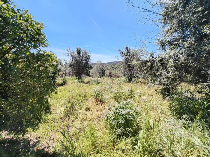 Moradia T2 para Venda em Pussos São Pedro Foto 36