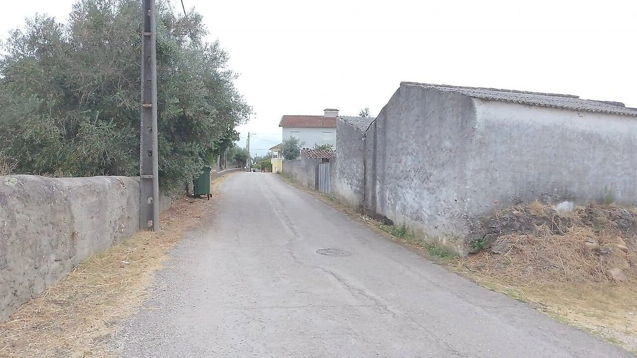 Moradia T3 para Venda em Mouriscas Foto 4