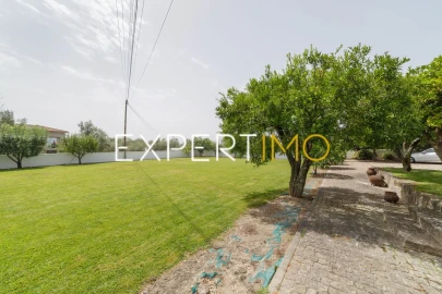 Moradia T6 para Venda em Insua