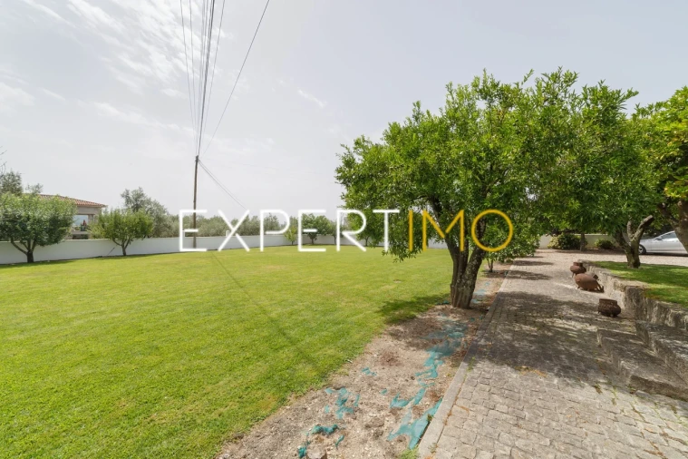 Moradia T6 para Venda em Insua Foto 34