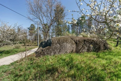 Quinta T0 para Venda em Ferro