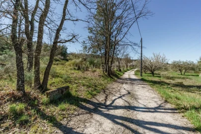 Quinta T0 para Venda em Ferro