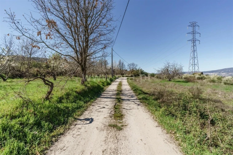 Quinta T0 para Venda em Ferro Foto 4