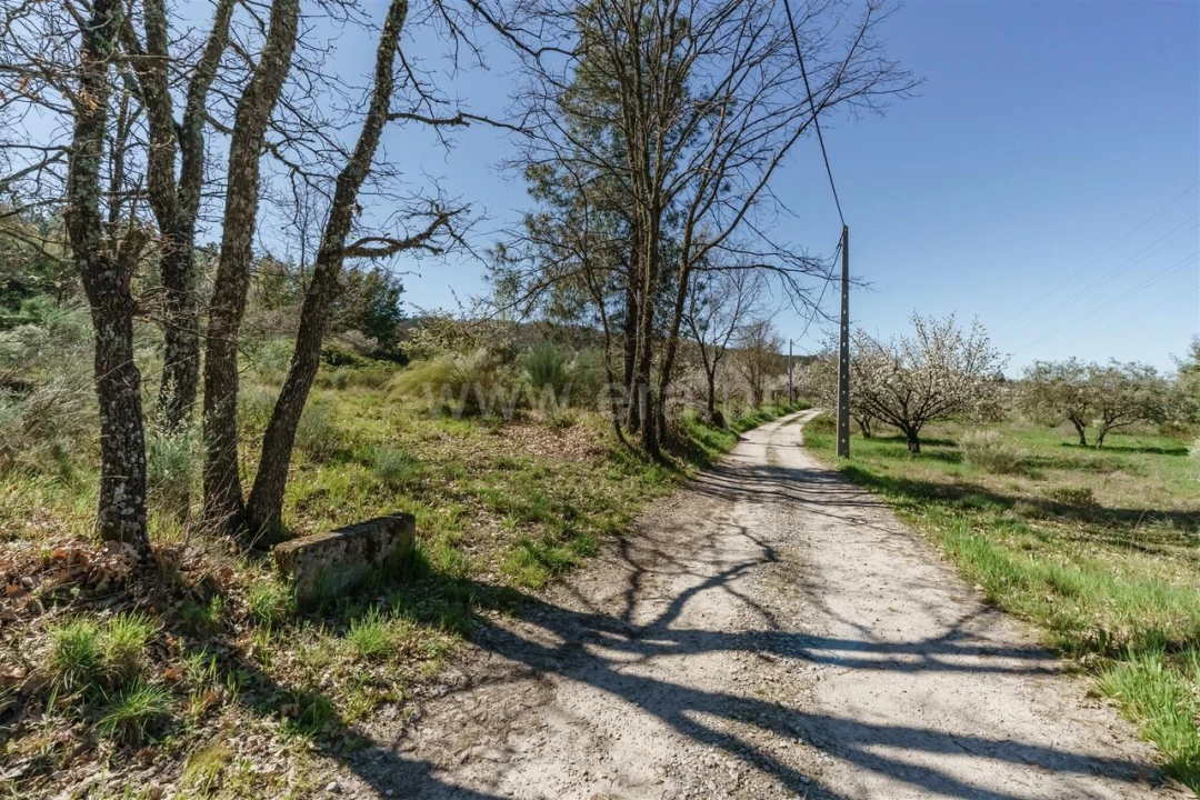 Quinta T0 para Venda em Ferro Foto 3