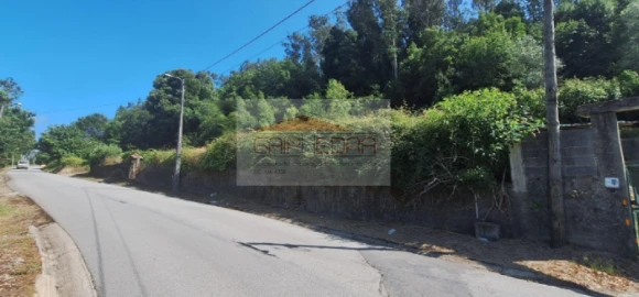 Terreno para Venda em Trofa, Segadães e Lamas do Vouga
