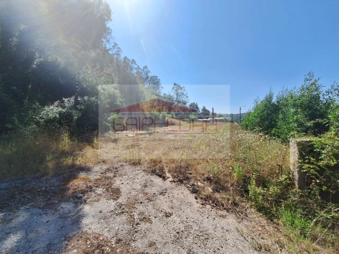 Terreno para Venda em Trofa, Segadães e Lamas do Vouga Foto 4